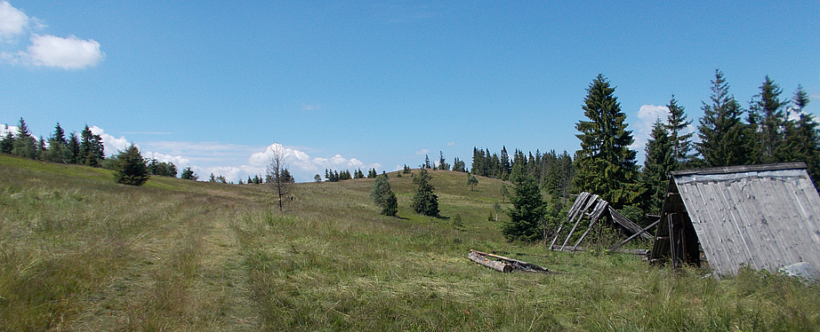 Góry